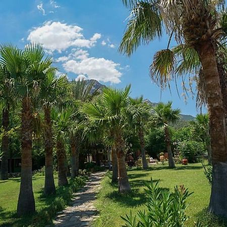 Maris Butik Hotel Turunc Kültér fotó