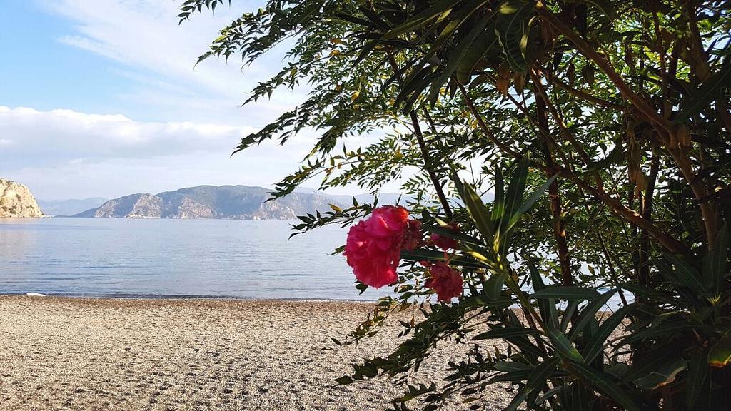 Maris Butik Hotel Turunc Kültér fotó