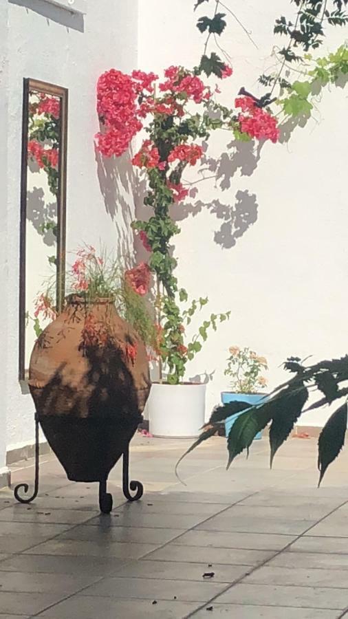 Maris Butik Hotel Turunc Kültér fotó
